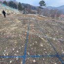 강림면323 이미지