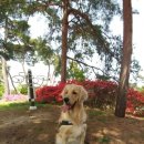 (주)골든리버 이미지