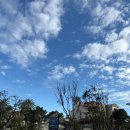 강변여관 | 대만여행 4일차(25.12.29.)