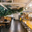 경동야채 이미지