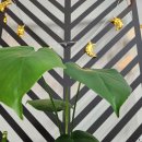 수암안경마트 | 일상 블로거에게 핸드폰 없는 일상 블로그는 불가하오