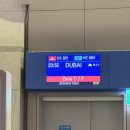오리엔탈바자르 | [영두in아랍에미레이트 2025] 5박6일 여자혼자여행 (1일차_8월의 두바이, 시티투어(알시프지구,두바이...