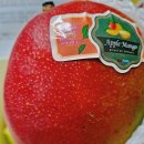 써봐조아 이미지