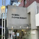 내추럴마켓(Natural Market) | 우보, 플라워마켓 방문 후기｜감각적인 신논현역 24시간 꽃집