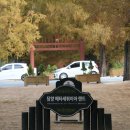 뚝방게스트하우스 이미지