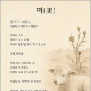 [오늘의 시선] 정동혁 시인의 「미(美)」 이미지
