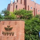 만숙 이미지