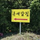 춘애밥집 이미지