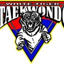 은평 백호 태권도장 이미지