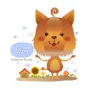 애견종합병원 이미지