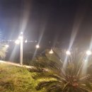 나비스 호스텔 이미지