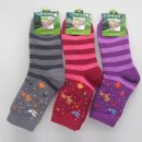 엠더블유글로벌 이미지