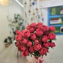 라메르블룸