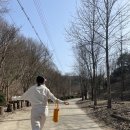 나남수목원(책박물관) | [포천 가볼만한 곳] 포천수목원, 나남 수목원 (+숲속 북까페) 포천 산책 코스