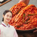 천연할인농수산물 | 김가연 김치 추천, 100% 국내산 똑소리나는 포기김치 10kg 솔직 후기! (feat. 맛있는 김치요리 레시피)