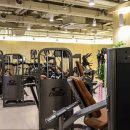 에이펙스 피트니스(APEX FITNESS) 이미지