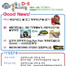 문화애견 이미지