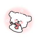 도그플러스 동물병원 마산점 이미지