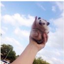 따봉 이미지