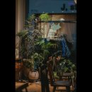 유영상회 | [도봉구 카페] 유영정원 유영정원, 반려동물과 함께 즐기는 카페