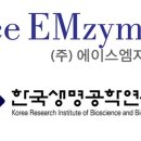 에이스개발(주) 이미지