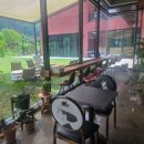 러스틱문 이미지