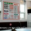 조개산꽃게집 | [공지] [태안/안면도] 🦀 지토랑 게국지 한 그릇! 애견 동반 가능한 '조개산꽃게집' 솔직 방문기 🐾