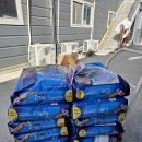 (주)티씨케이 사랑나눔봉사단에서 고양이 사료를 보내주셨습니다🩶 이미지