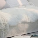 데이지 하우스 이미지