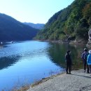 임학주유소 이미지