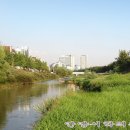 학의천변 이미지