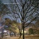 고요의계절 이미지