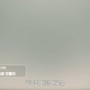 상중 Daum카페