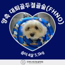배방동물병원 네이버블로그