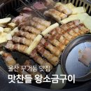 중앙지구대 | 울산 회식장소 맛찬들 왕소금구이 무거점 강력추천 후기후기