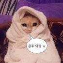 [협찬] 군자역 라멘집, 라멘 이자카야 쿠잔 후기