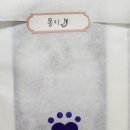 펫 포포즈 이미지