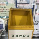8월 성수기 가평 국립 유명산자연휴양림 숲속의집 산돼지 1박 후기 및 준비물 꿀팁