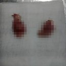 송정동물메디컬센터 이미지