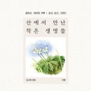 그림책 속 요리교실 | [공유]“산에 오를수록 산이 우리를 부른다는 생각이 든다” [새로 나온 책]