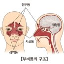 온기담은 한의원 이미지