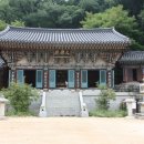 창원 성주사 목조석가여래삼불좌상 Daum카페