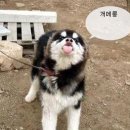 오뉴월 이미지