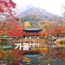 백양사 쌍계루 이미지