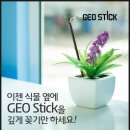 강산에프앤비 네이버블로그