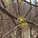 봄이 언제 곁으로 이미지