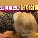 요이벤스프카레