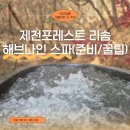 정가는분식 | 제천 포레스트리솜 해브나인스파 겨울 후기/꿀팁 (체크인전 입장, 입장권 할인, 준비물, 스톤 예약...