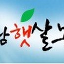 햇살그린농장 Daum카페