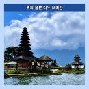 다누 티스토리